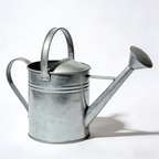 Classic Metal Watering Can
